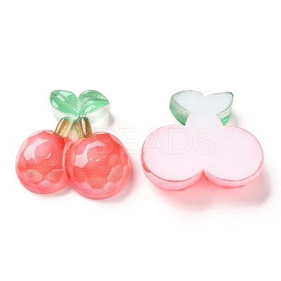 Transparent Resin Cabochons X-CRES-J046-03F-1