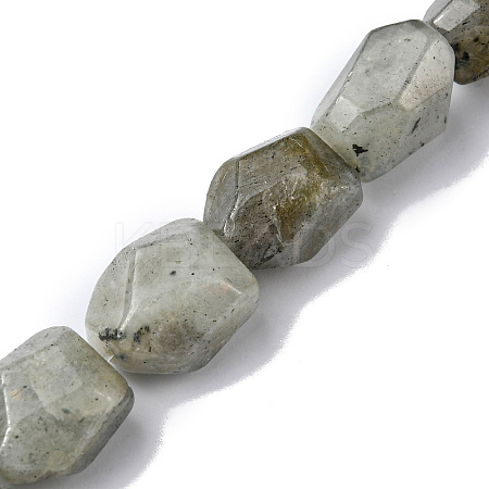 Natural Labradorite Beads Strands G-F743-04D-1