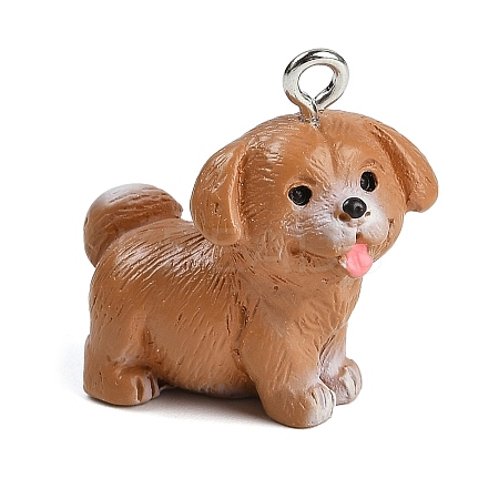 Cute Opaque Resin Pendants RESI-R458-05D-1