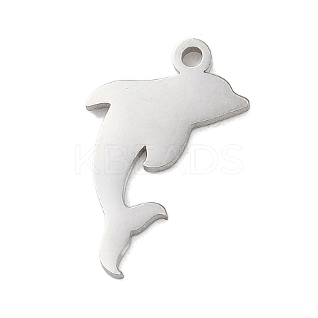 Non-Tarnish 304 Stainless Steel Charms LS-STAS-S138-01P-03-1