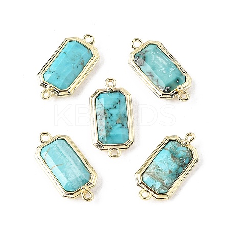 Dyed Natural Howlite Faceted Rectangle Connector Charms G-H323-04G-02-1
