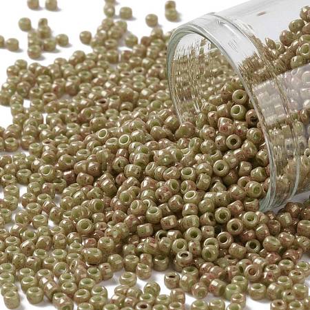 TOHO 11/0 Round Beads X-SEED-TR11-1209-1