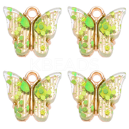 Transparent Acrylic Charms LS-BUER-PW0002-02E-1