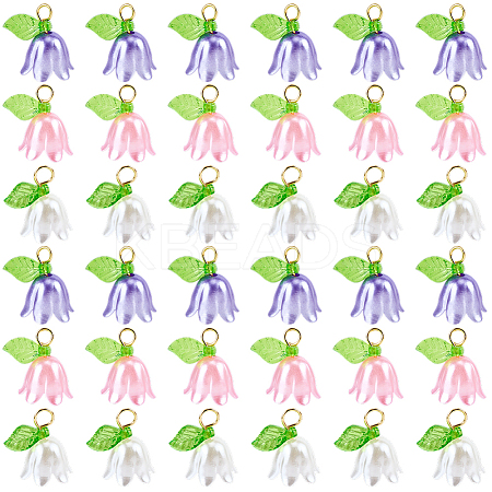 36Pcs 3 Colors Acrylic Charms KY-SC0002-45-1