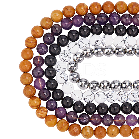 125Pcs 5 Styles Synthetic Howlite & Magnetic Hematite & Natural Amethyst & Obsidian & Tigerskin Jasper Round Beads G-WR0001-10-1