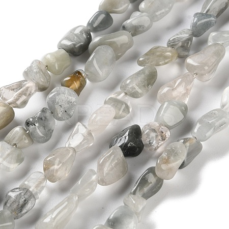 Natural Eagle Eye Stone Beads Strands G-P497-01C-14-1
