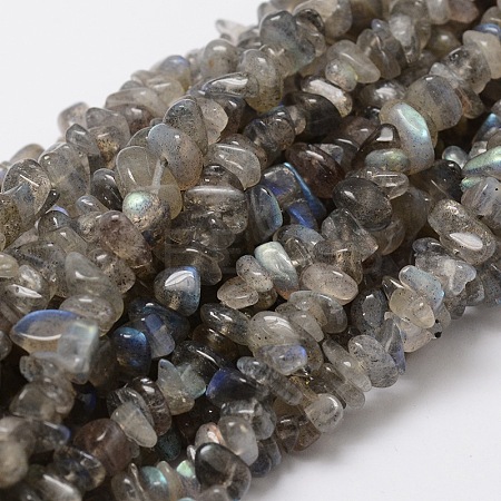 Natural Labradorite Chip Bead Strands G-M298-06-1