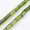 Natural Shell Bead Strands BSHE-P016-16-1