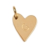 304 Stainless Steel Charms STAS-L291-01G-G-1
