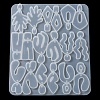 DIY Silicone Irregular Shape Pendant Molds DIY-M047-01A-5