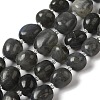 Natural Larvikite Beads Strands G-Q169-E05-01-1