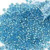 10G Glass Seed Beads SEED-YW0003-11D-1