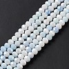 Ombre Effect Dyed Glass Beads Strands X-GLAA-C023-02A-6