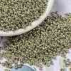 MIYUKI Round Rocailles Beads SEED-G008-RR4201-1