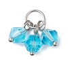 16Pcs Glass Pendants PALLOY-JF03189-3