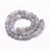 Natural Weathered Agate Beads Strands G-S259-05E-10mm-2
