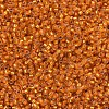 MIYUKI Delica Beads SEED-X0054-DB0681-3