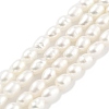 Natural Cultured Freshwater Pearl Beads Strands PEAR-P062-01F-1