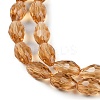 Transparent Glass Beads Strands LS-EGLA-N013-T10mm-D21-3
