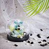 800G 2 Style Natural Quartz Crystal & Obsidian Beads G-CA0001-39-4
