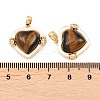 Natural Tiger Eye and Freshwater Shell Pendants KK-H538-24A-G-3