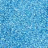 6/0 Baking Paint Transparent Fringe Glass Seed Beads SEED-N006-06L-3