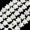 Natural Trochid Shell/Trochus Shell Beads Strands SH-CBA2978-17B-1