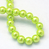 Baking Paint Pearlized Glass Pearl Round Bead Strands HY-Q003-10mm-66-4