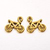 Tibetan Style Alloy Pendants GLF9048Y-NF-2