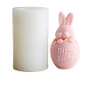 3D Easter Bunny Aromatherapy Food Grade Silicone Fondant Mold PW-WG36171-01-1