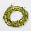 Glass Beads Strands X-EGLA-E057-02B-13-2