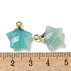 Natural Amazonite Pendants G-P540-01G-03-3