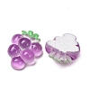 Fruit Theme Opaque Resin Imitation Food Cabochons RE-CBA49A8-03E-2