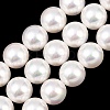 Electroplated Shell Pearl Graduated Beads Strands BSHE-C011-04-2