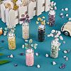 6Pcs 6 Style Natural Gemstone Chip Money Tree Display Decorations DJEW-SZ0001-07-4
