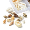 6 Styles Natural Mixed Cowrie Shell Beads Sets BSHE-YW0001-05-3