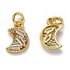 Brass Micro Pave Cubic Zirconia Charms ZIRC-H119-07G-2