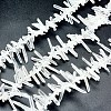 Natural Quartz Crystal Beads Strands G-P368-11-1
