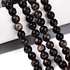 Natural Biotite Beads Strands G-Q616-01C-1