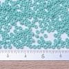 MIYUKI Round Rocailles Beads X-SEED-G007-RR0412L-2
