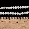 Natural Rainbow Moonstone Beads Strands G-B168-A11-3mm-5