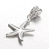 Alloy European Dangle Charms LS-MPDL-E045-10-2