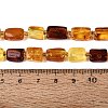 Natural Amber Beads Strands G-N371-23A-01-5