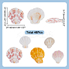 48Pcs Natural Shell Crafts DJEW-AR0001-12-2