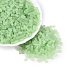 FGB Frosted Transparent Glass Seed Beads SEED-N013-05A-08-1