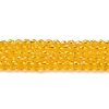 Transparent Glass Beads Strands GLAA-H021-03-06-2