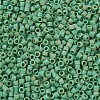 MIYUKI Delica Beads SEED-MY11-DB0877-3