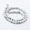 Natural Howlite Beads Strands G-F518-22-6mm-2