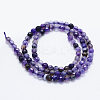 Natural Agate Beads Strands X-G-E469-12J-2