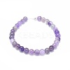 Natural Amethyst Beads Strands X-G-G791-11-B01-2